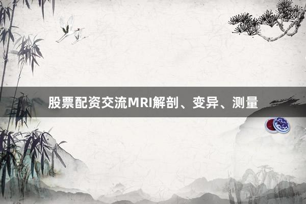 股票配资交流MRI解剖、变异、测量