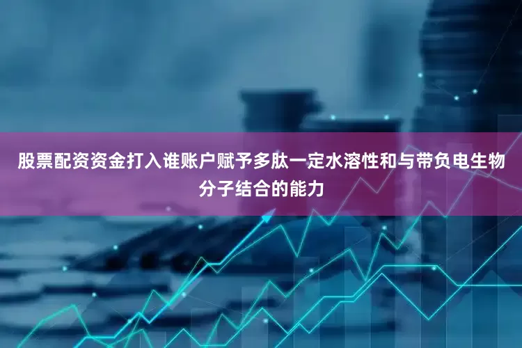 股票配资资金打入谁账户赋予多肽一定水溶性和与带负电生物分子结合的能力