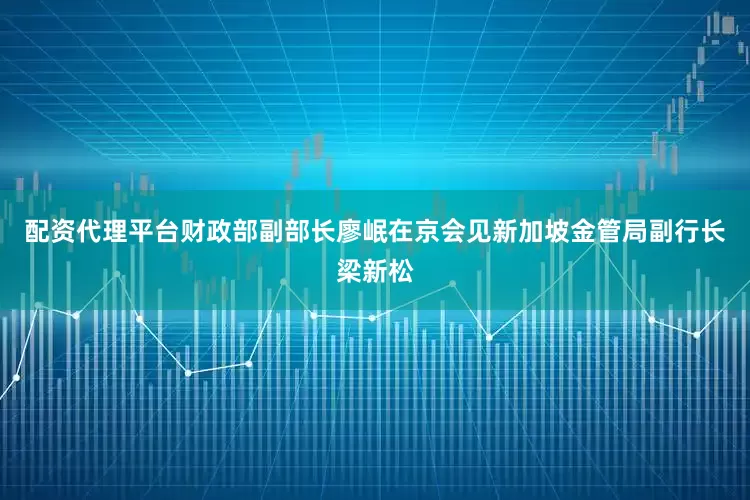 配资代理平台财政部副部长廖岷在京会见新加坡金管局副行长梁新松