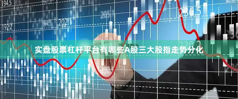 实盘股票杠杆平台有哪些A股三大股指走势分化