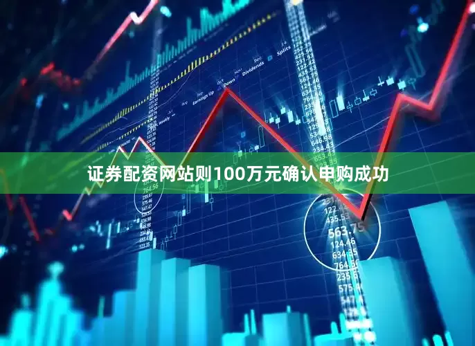 证券配资网站则100万元确认申购成功