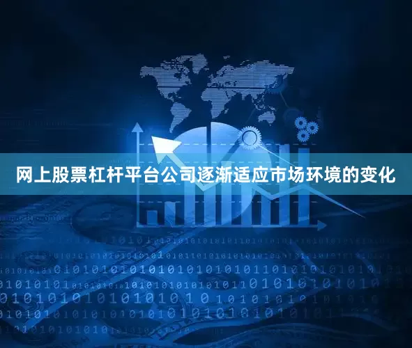 网上股票杠杆平台公司逐渐适应市场环境的变化