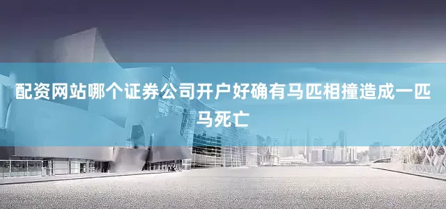 配资网站哪个证券公司开户好确有马匹相撞造成一匹马死亡