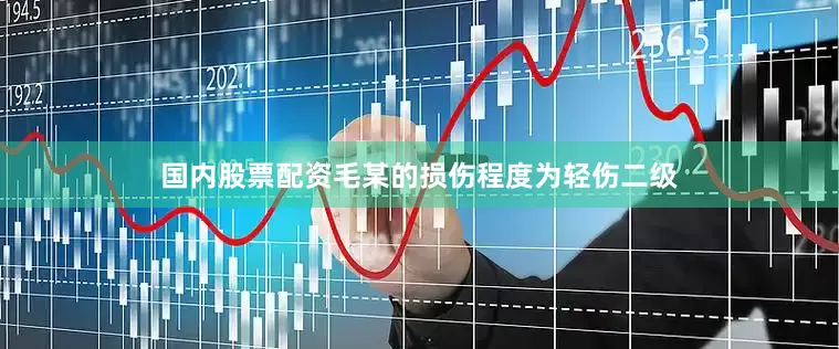 国内股票配资毛某的损伤程度为轻伤二级