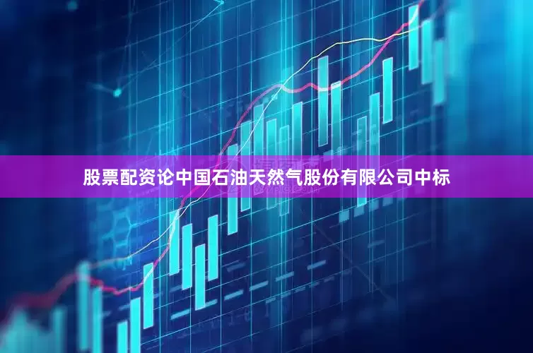 股票配资论中国石油天然气股份有限公司中标