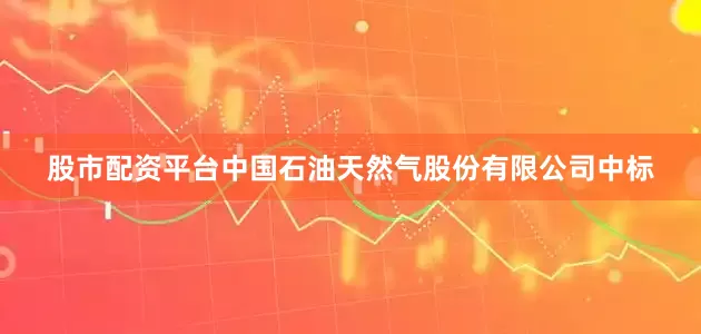 股市配资平台中国石油天然气股份有限公司中标